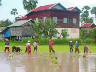 rural life