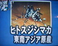 テレビ画面から