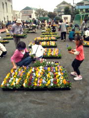 どの花にしようかな〜