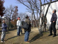 公園の樹木を見まわしながら