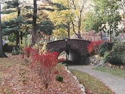 radburn トンネル