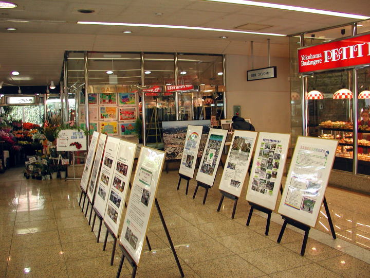 がラリー前のパネル展示