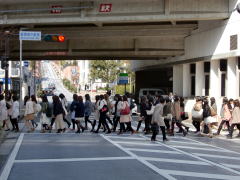 交番横の横断歩道を渡る
