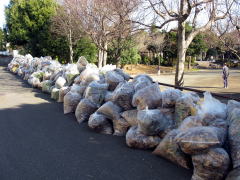 公園脇の集積場で
