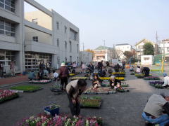 思い思いにお好みの花を選んでいます。