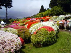 山のホテルの庭園
